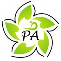 Логотип компании Студия фитнеса РА